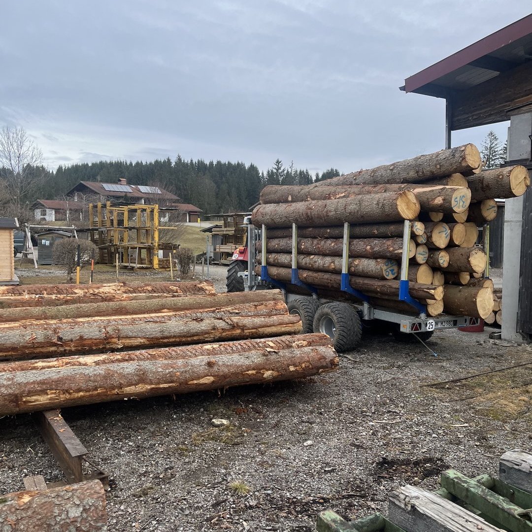 Gelagerte Baumstämme im Sägewerk von Holz Steinsdorfer zur Weiterverarbeitung