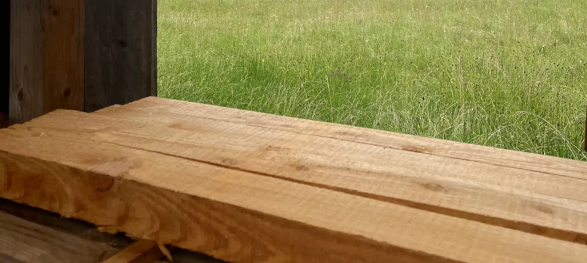 Bild Holzrahmen mit Blick in Wiese