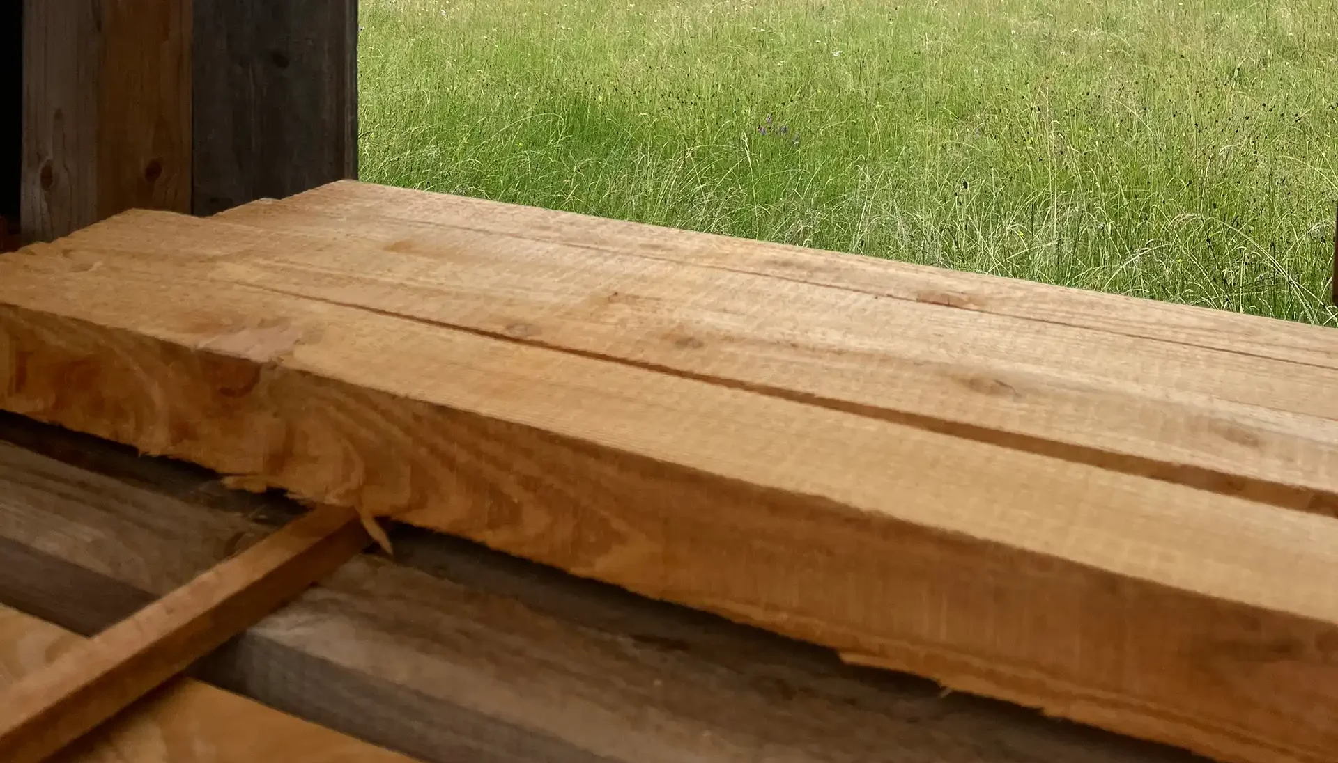 Blick durchs Holz ins Grüne