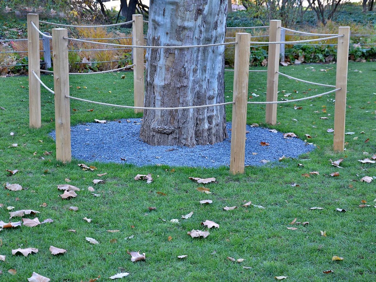Holzpfähle mit Seil als natürliche Abgrenzung und Schutz für Bäume in Garten- und Parkanlagen