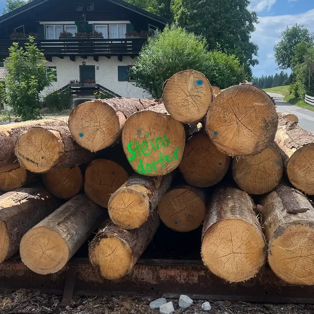 Frisch angeliefertes Rundholz aus heimischen Wäldern für die Verarbeitung im Sägewerk Steinsdorfer
