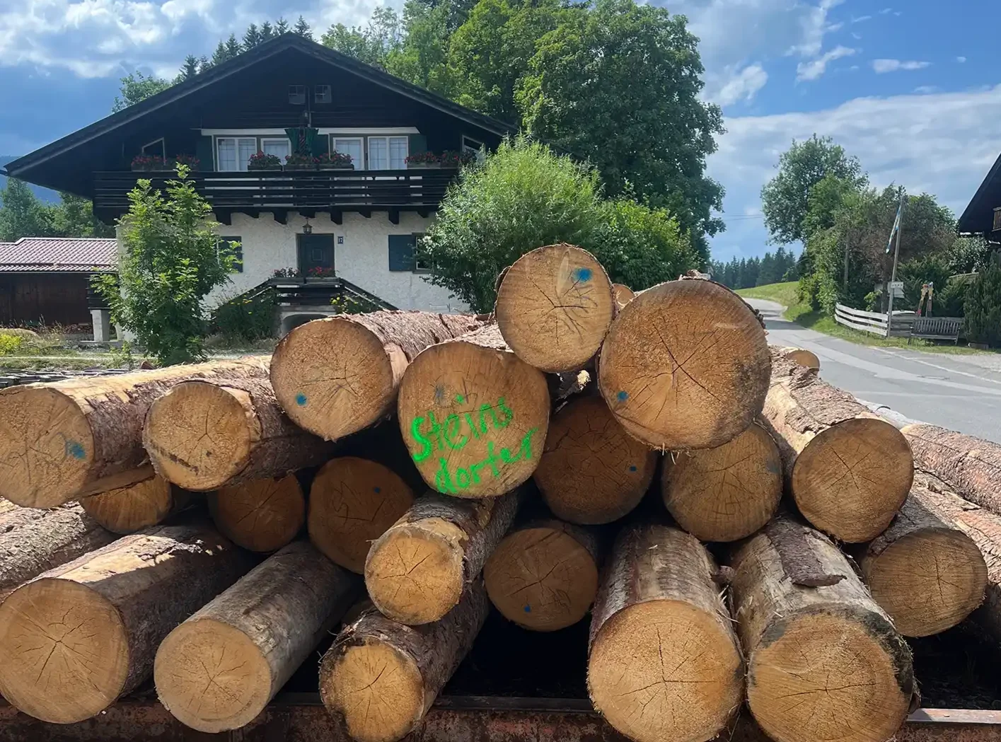 Ein Stapel Holzstämme auf dem Hof von Holz Steinsdorfer